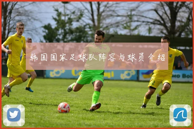 韩国国家足球队阵容与球员介绍