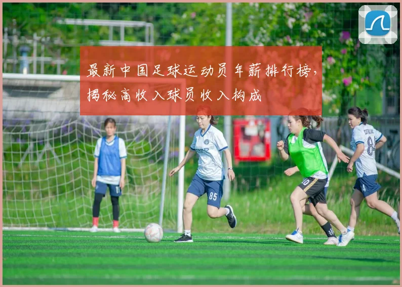 最新中国足球运动员年薪排行榜，揭秘高收入球员收入构成