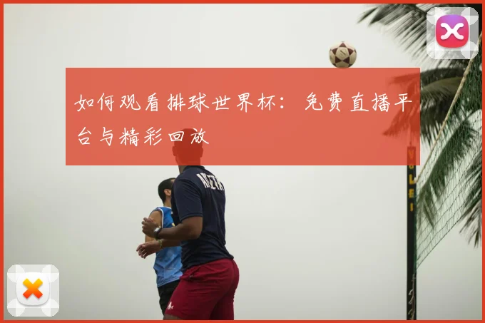 如何观看排球世界杯：免费直播平台与精彩回放