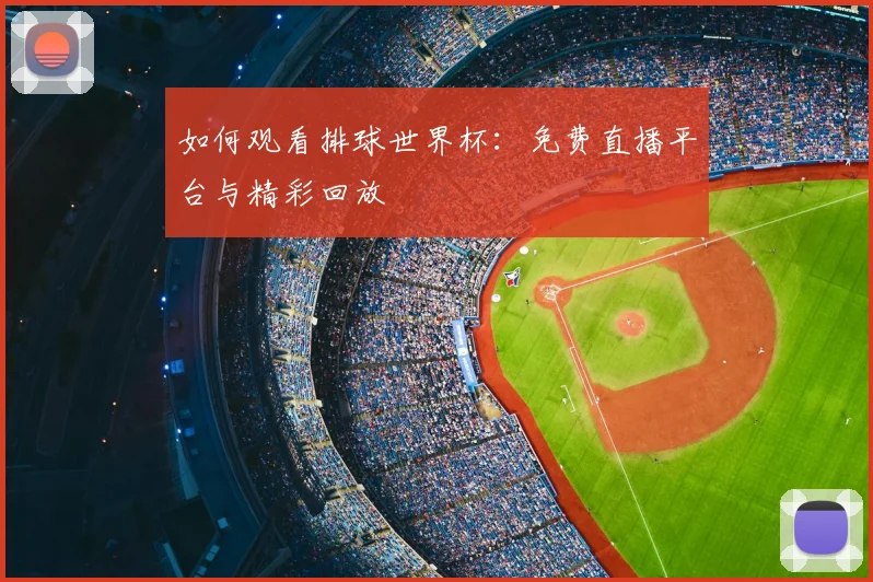 如何观看排球世界杯：免费直播平台与精彩回放