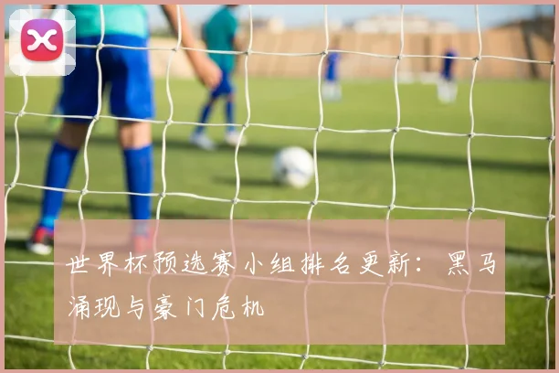 世界杯预选赛小组排名更新：黑马涌现与豪门危机